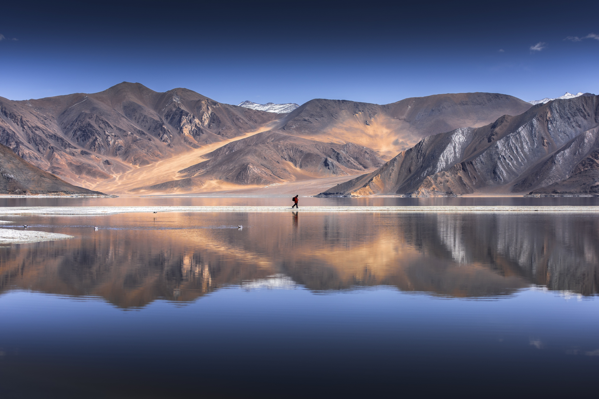 Lac Pangong